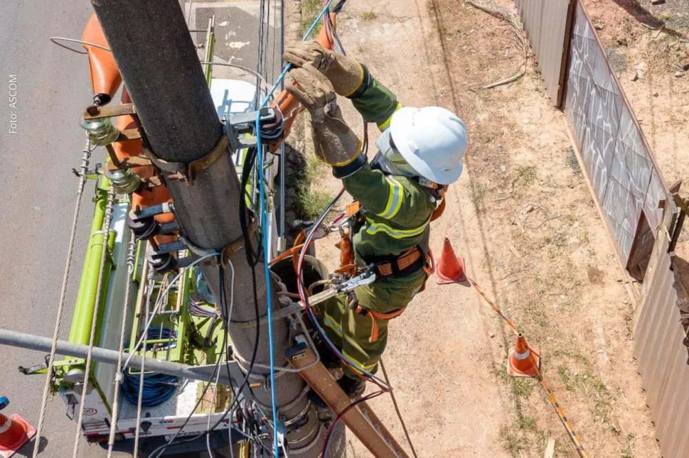 Vinte e uma cidades recebem a Operação Gatonet da Neoenergia Coelba a partir de segunda-feira; confira a programação 