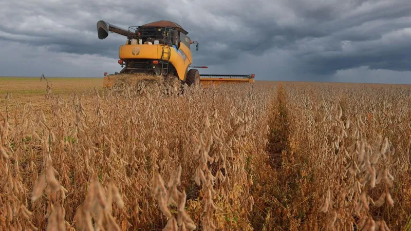 Bahia segue entre os dez maiores produtores brasileiros de grãos em 2026