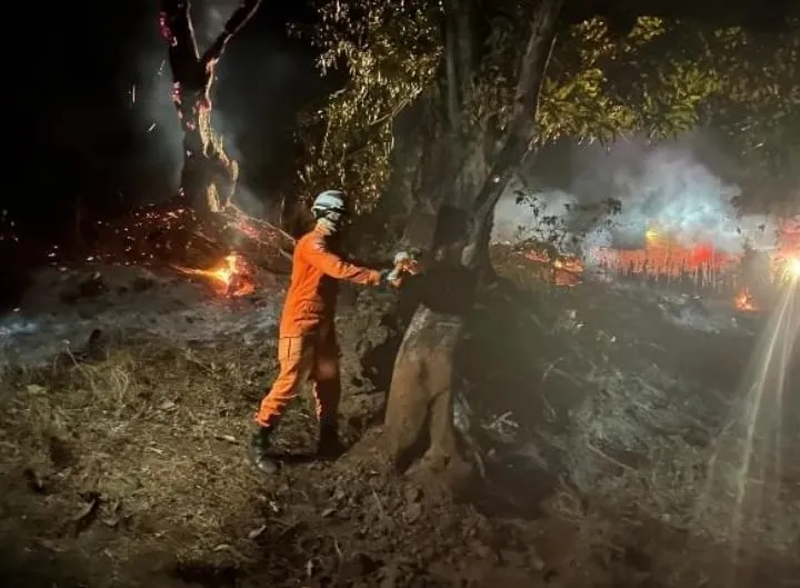 Bombeiros extinguem incêndio florestal em Lençóis às margens da BR 242