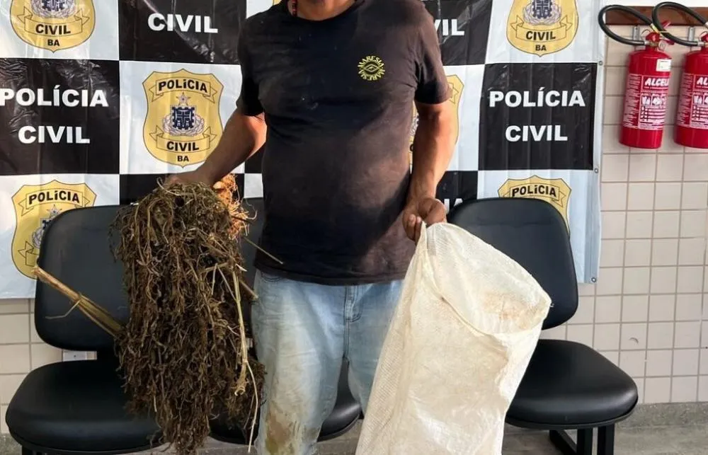 Homem é preso ao tentar furtar pés de maconha que seriam incinerados em Carinhanha