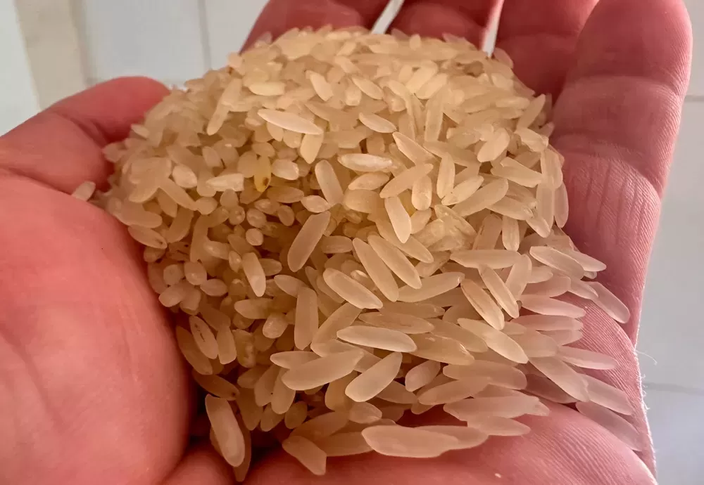 Brasil vai importar arroz para evitar especulação de preços