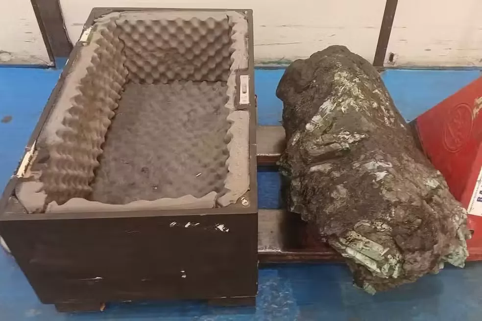 Pedra Preciosa de 137 quilos encontrada na Bahia vai a leilão por R$ 115 Milhões