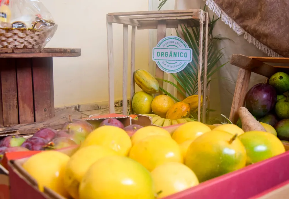 Em Mirante, sudoeste da Bahia, Seagri discute ações para fortalecer cadeias produtivas agrícolas