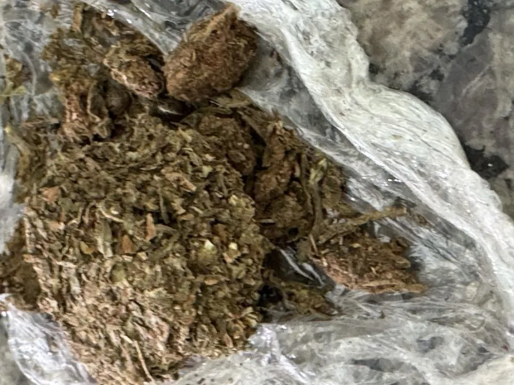 Polícia Rodoviária apreende drogas durante abordagem na BA-026, em Tanhaçu