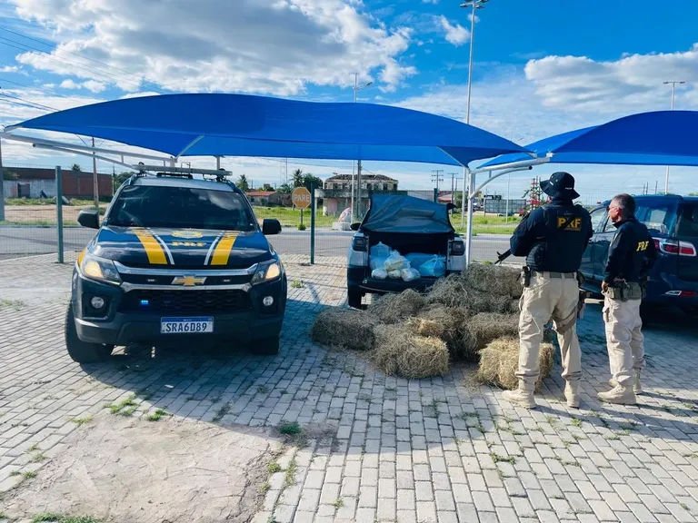 PRF apreende mais de 85 kg de drogas escondidos sob carga de feno na BR-110
