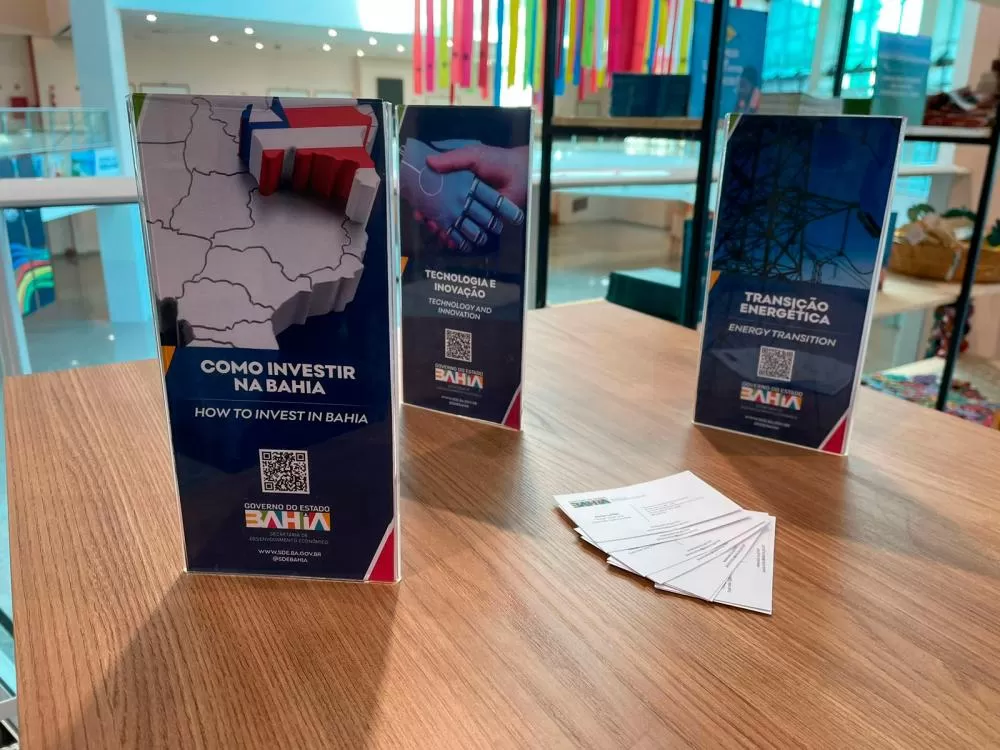 Potencial da Bahia na transição energética é apresentado durante reunião de Desenvolvimento do G20 Brasil 2024