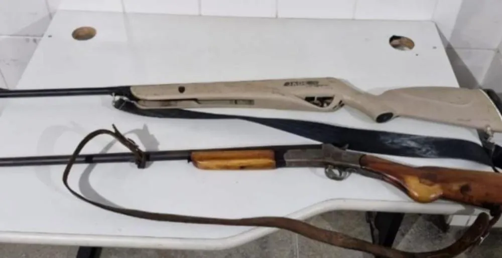 Armas são apreendidas pela PM em Palmas de Monte Alto