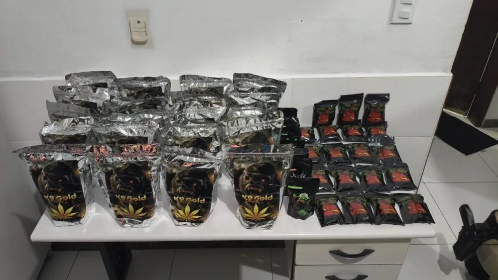 Mulher é detida com K9 sintético e haxixe durante abordagem da Polícia Rodoviária Estadual