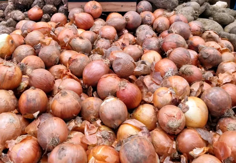 Batata e cebola estão mais baratas, diz Conab