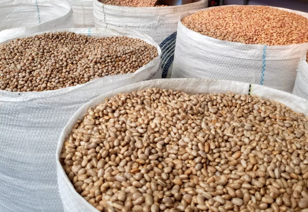 Brasil atinge atinge novo recorde na produção de grãos