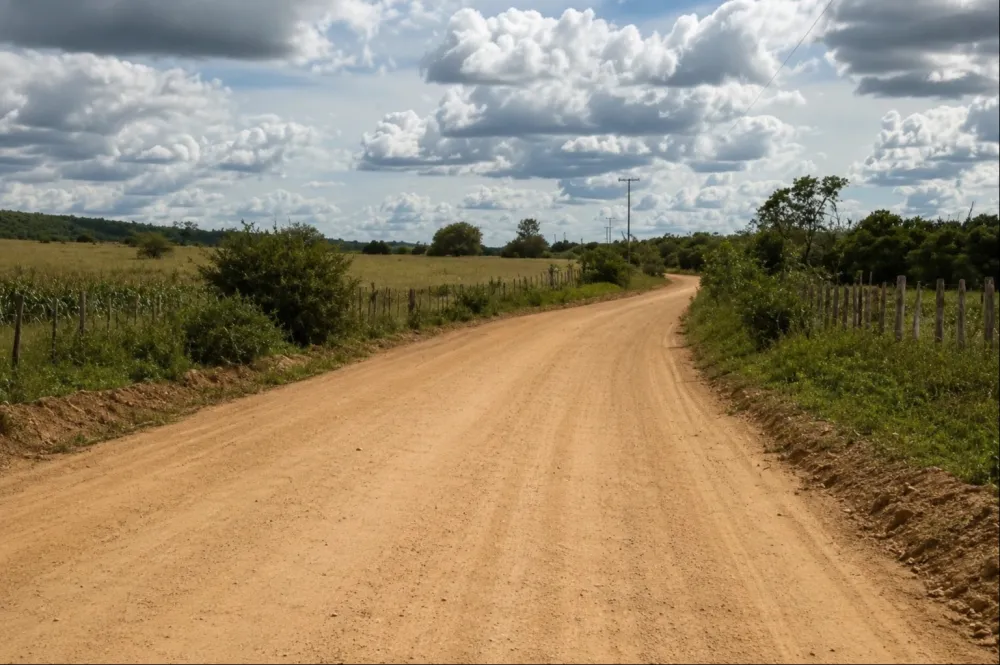 Governo da Bahia homologa licitação para pavimentação de 30,77 km da BA-569 em Livramento