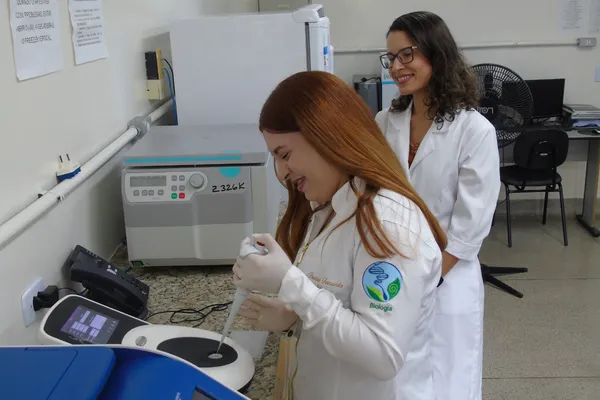 Pesquisa da Uesb realiza o primeiro sequenciamento do genoma do ipê-amarelo