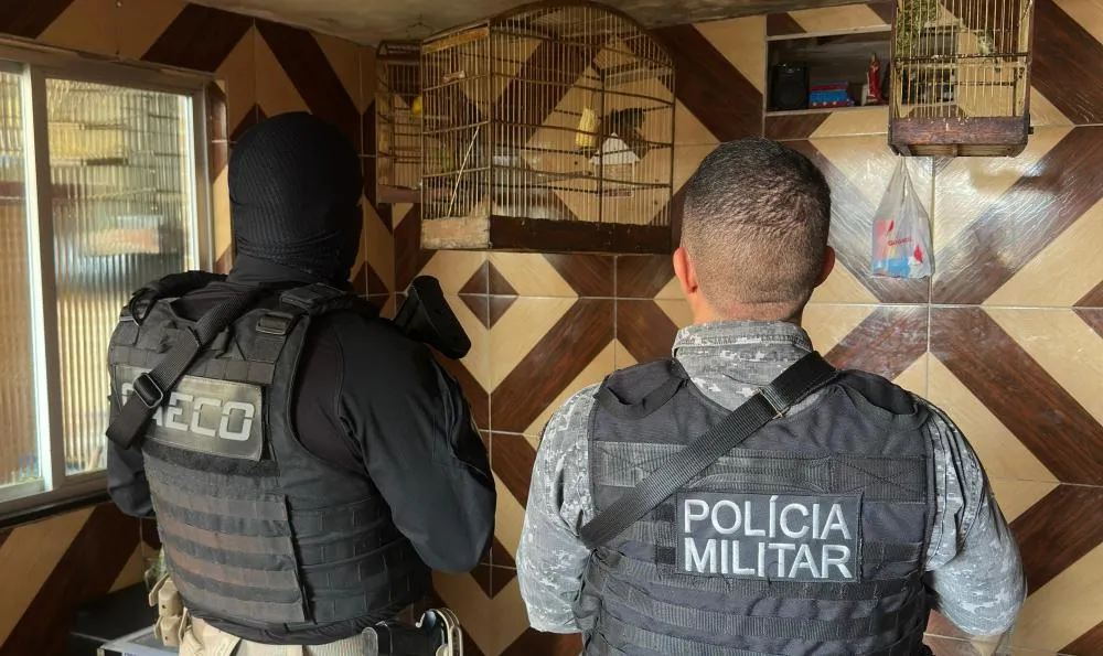 Preso na Bahia um dos maiores traficantes de animais silvestres do país