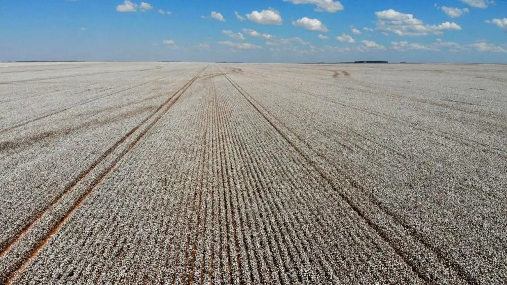 Bahia tem sete cidades entre as 50 maiores produtoras agrícolas do Brasil e se consolida como líder no Nordeste
