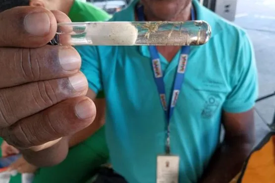 Bahia publica portaria que regulamenta acesso a imóveis em ações de vigilância em saúde