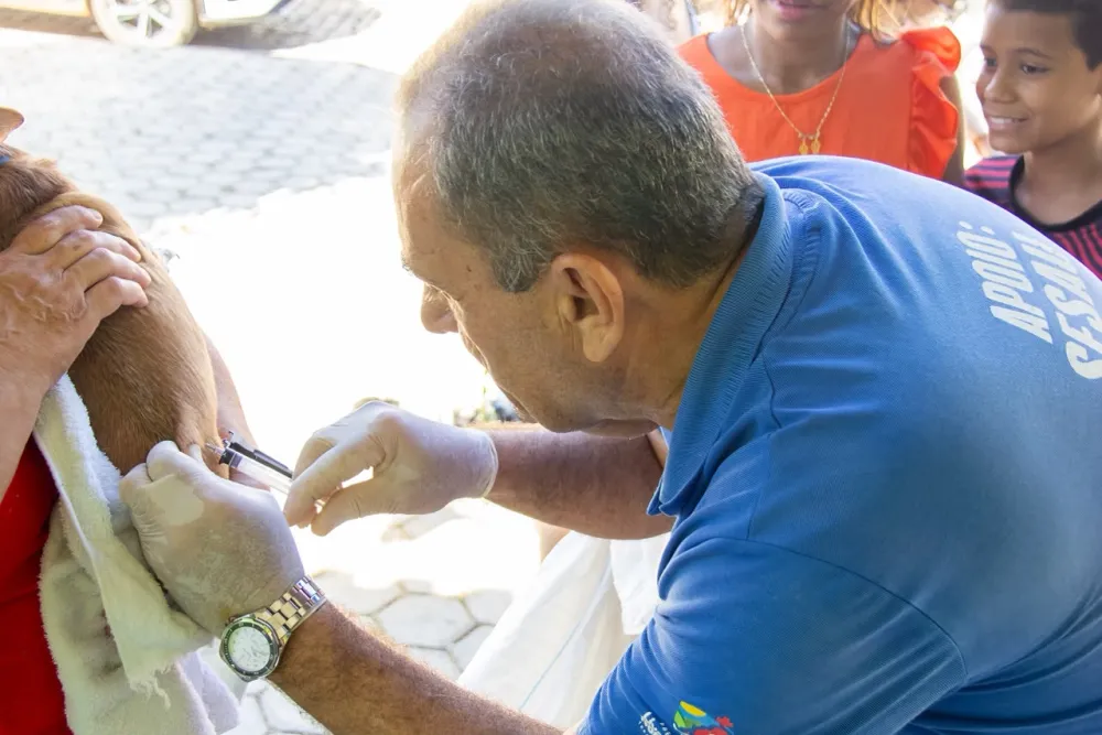 Dia D da Vacinação Antirrábica mobiliza tutores de cães e gatos em Livramento de Nossa Senhora