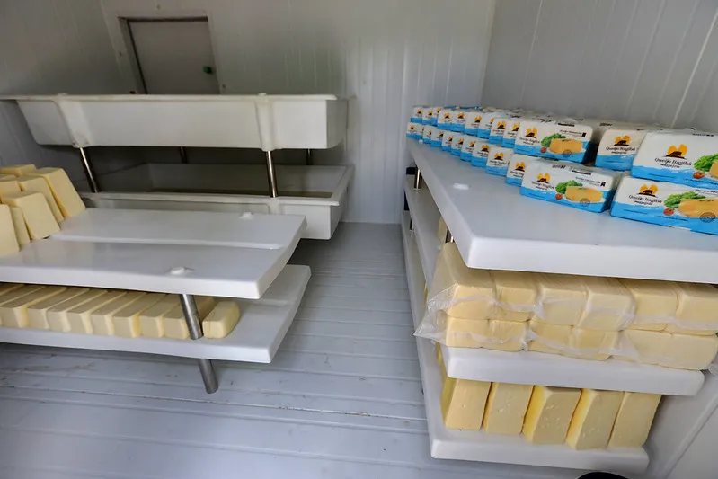 Encontro valoriza produção leiteira na Chapada Diamantina