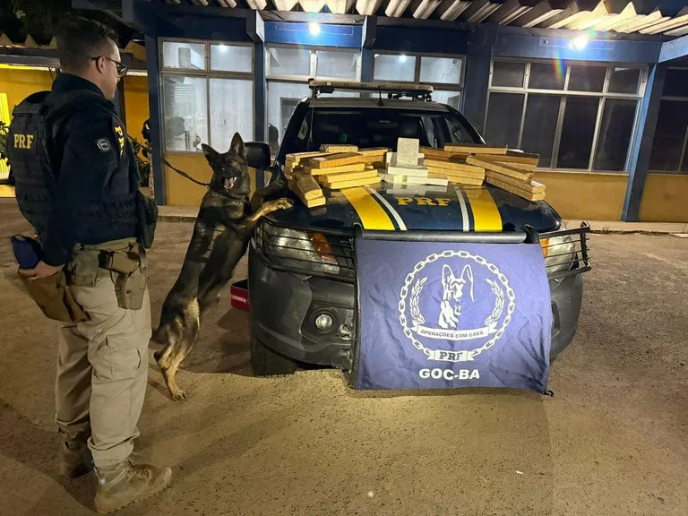 Abordagem a Ônibus na BR-116 Resulta na Apreensão de Mais de 34 Kg de Drogas pela PRF em Feira de Santana