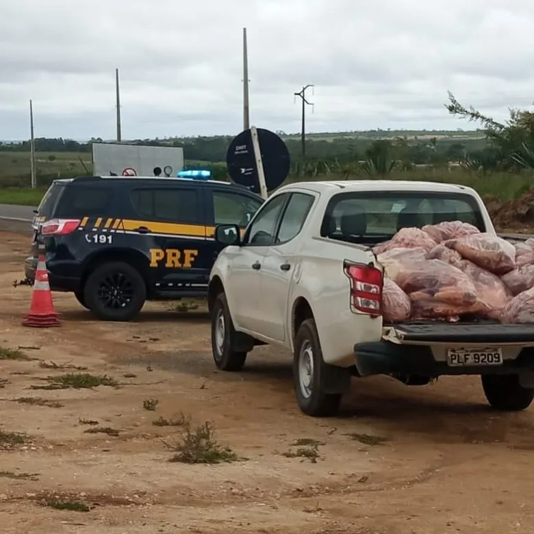 Operação conjunta apreende 1,3 tonelada de carne clandestina em Jaguaquara