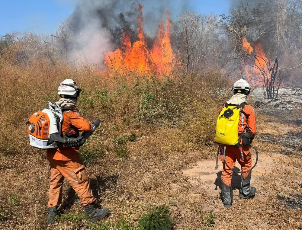 Bombeiros militares da Operação Florestal atuam em incêndio em Bom Jesus da Lapa