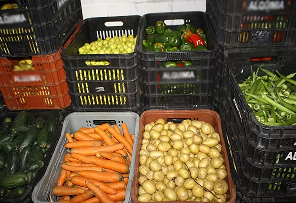 Agrotóxicos: 25% dos alimentos de origem vegetal no país têm resíduos