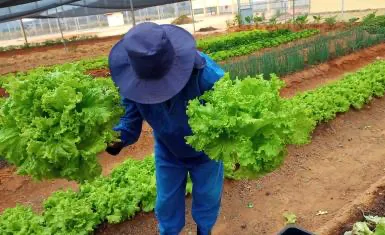 Conjunto Penal de Brumado aposta em artesanato e horta como instrumentos de ressocialização