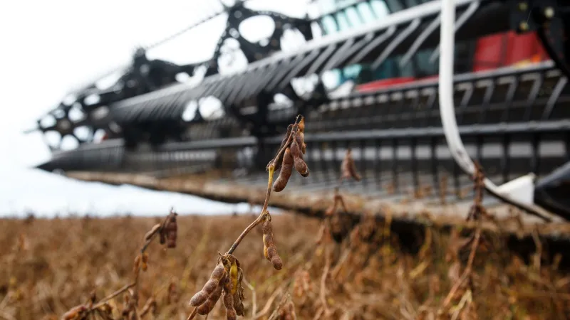 Safra 2024/2025 da soja na Bahia deve atingir novo recorde de produção