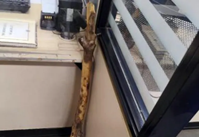 Suspeito é conduzido à delegacia após ameaçar família com pedaço de madeira em Palmas de Monte Alto