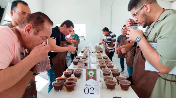 Concurso de Qualidade do Café de Barra do Choça impulsiona a produção de cafés de excelência na região