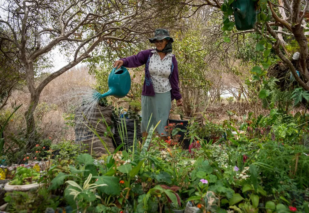 BAMIN lança projeto 'Nossa Flora Frutificando' com livro e exposição sobre riquezas naturais do Alto Sertão Baiano