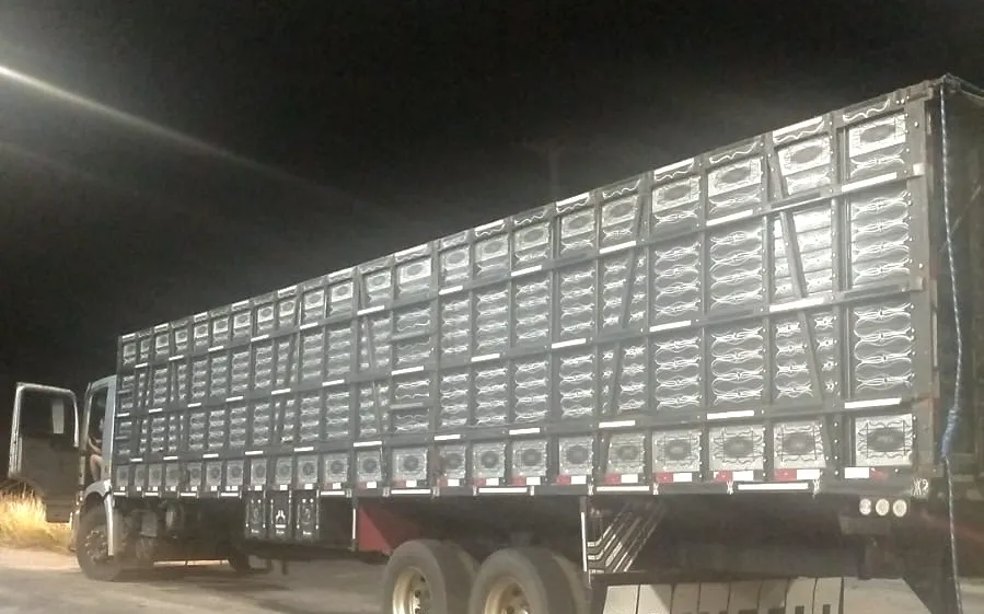 CIPRv apreende veículo com transporte irregular de bovinos em Brumado