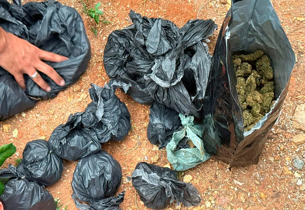 Ações de combate ao tráfico de drogas são realizadas em Jequié e Feira de Santana