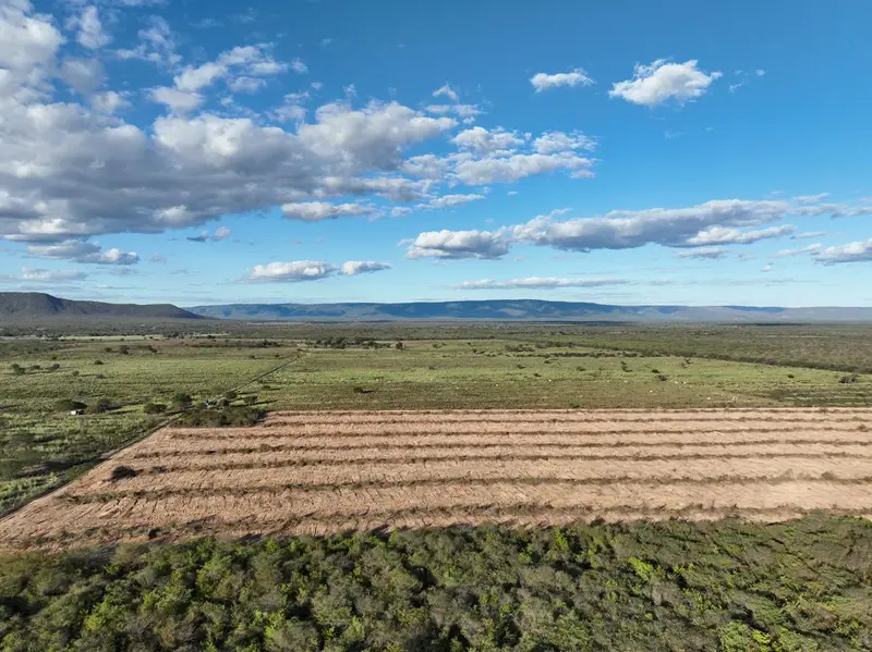 FPI/BA identifica desmatamento irregular em área rural de Bom Jesus da Lapa