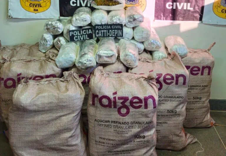 100 kg de maconha são apreendidos pela Polícia Civil em Irecê