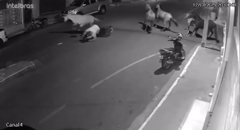 Cavalos soltos causam acidente no centro de Aracatu