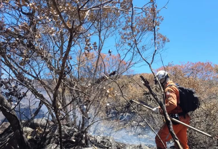 Cerca de 200 bombeiros militares atuam no combate a incêndios florestais no interior da Bahia