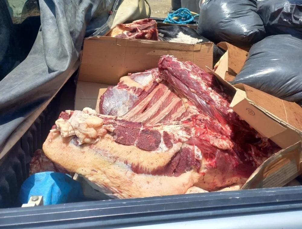 CIPRv/Brumado apreende 580 kg de carne bovina sem refrigeração e nota fiscal na BA-263