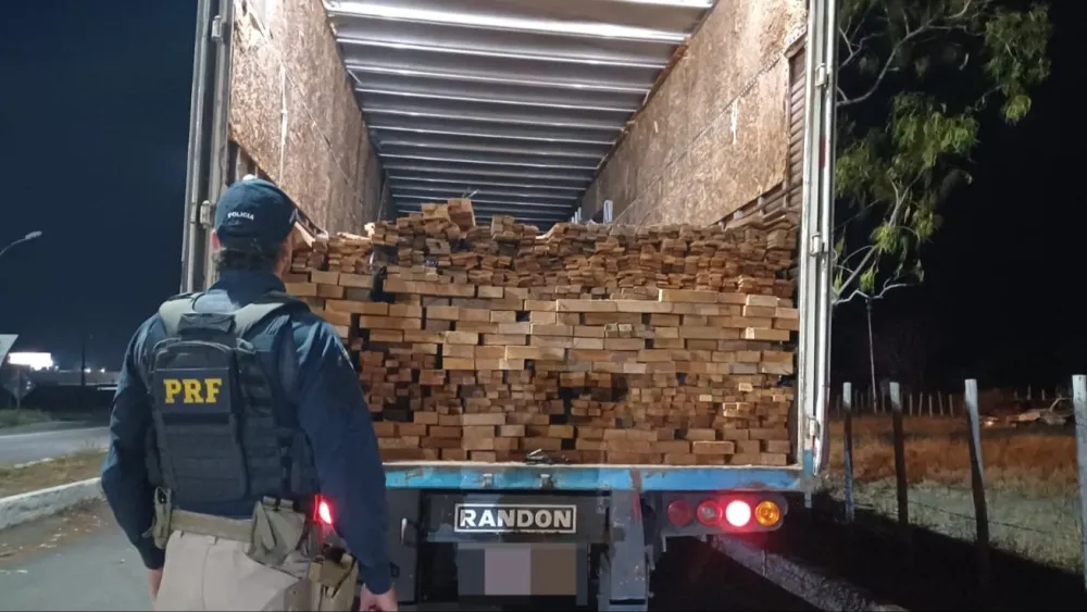 PRF flagra caminhão com madeira ilegal de corte proibido na BR-116 em Milagres