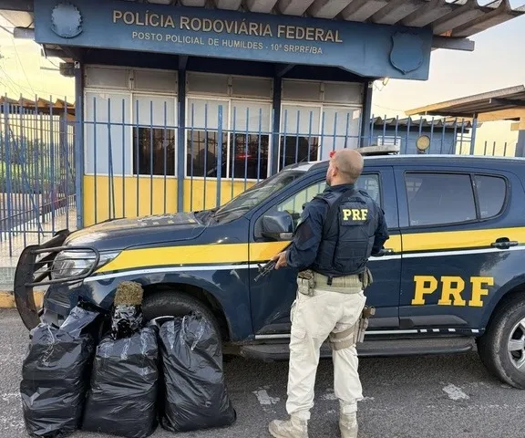 PRF apreende 30 kg de maconha após perseguição e acidente em Feira de Santana