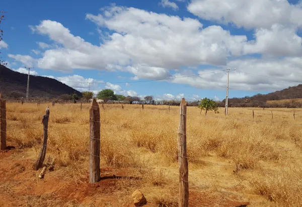 Governo Federal reconhece situação de emergência em cidades baianas afetadas pela estiagem