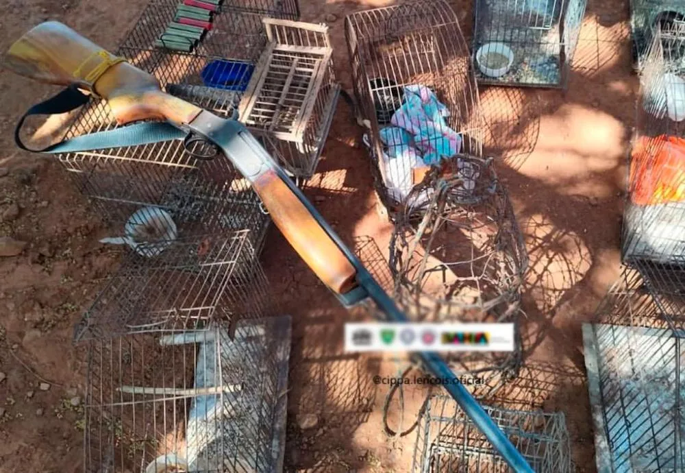Polícia apreende arma de fogo, aves silvestres e apetrechos de caça em Riacho de Santana