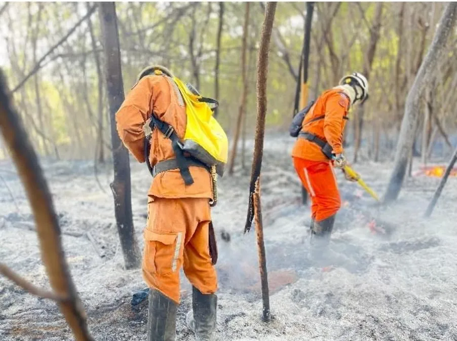 Bombeiros do CBMBA extinguem incêndios florestais em Barreiras e São Desidério