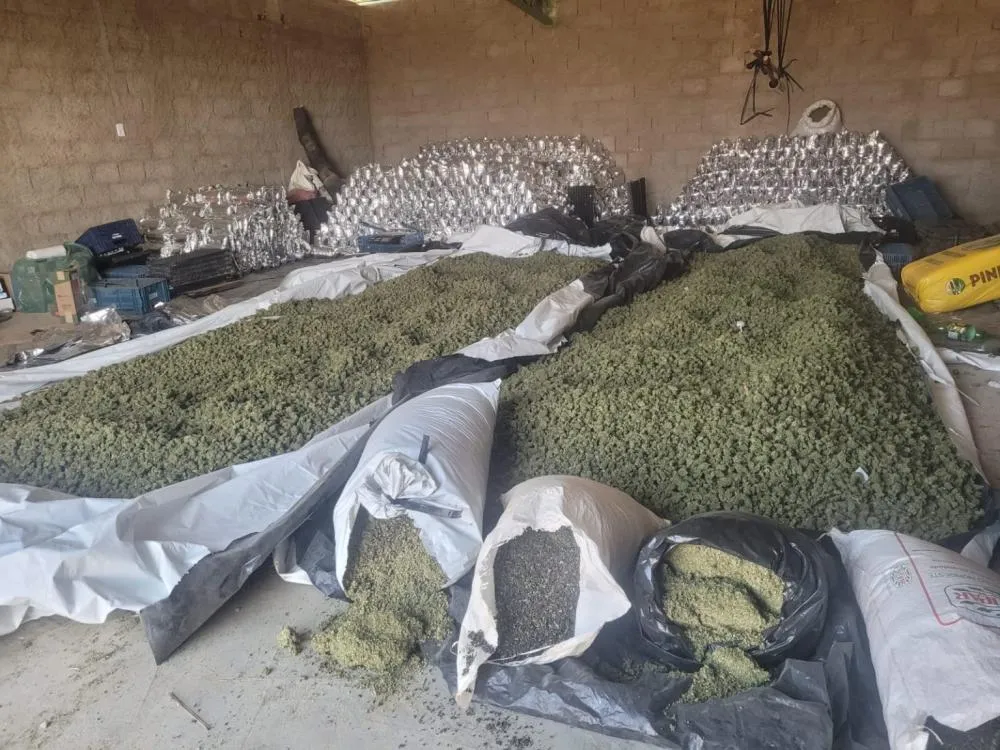 PMBA e PF apreendem toneladas de maconha em Sebastião Laranjeiras