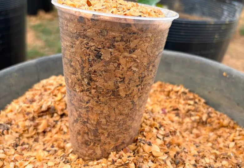 Pesquisadores da Uesb descobrem nova função para casca do café na produção agrícola