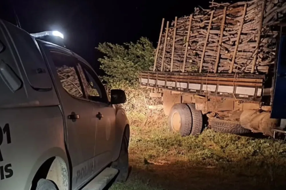 CIPPA apreende 32 toneladas de carvão e madeira nativa em operação no sudoeste baiano
