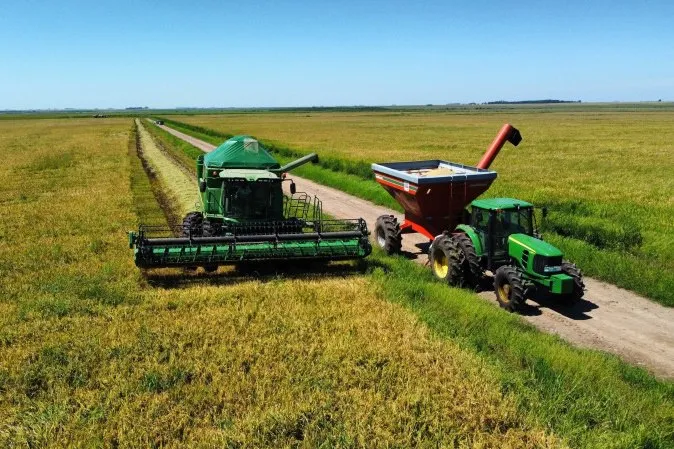 IBGE prevê safra recorde de 346 milhões de toneladas em 2025