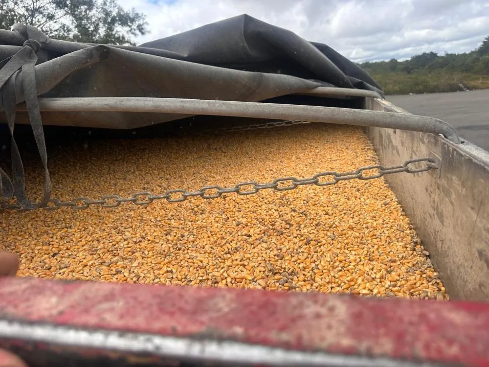 CIPRv/Brumado apreende carga de milho sem nota fiscal na BA-262