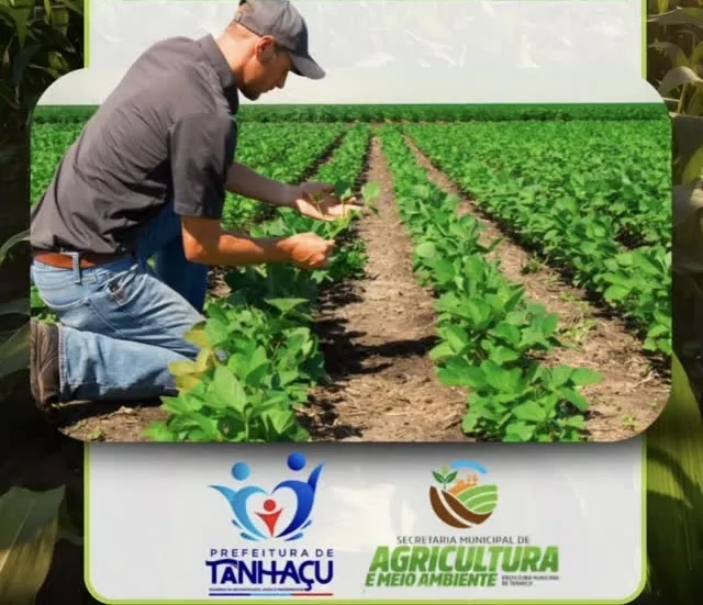 Produtores de Tanhaçu começam a receber Garantia Safra a partir desta semana