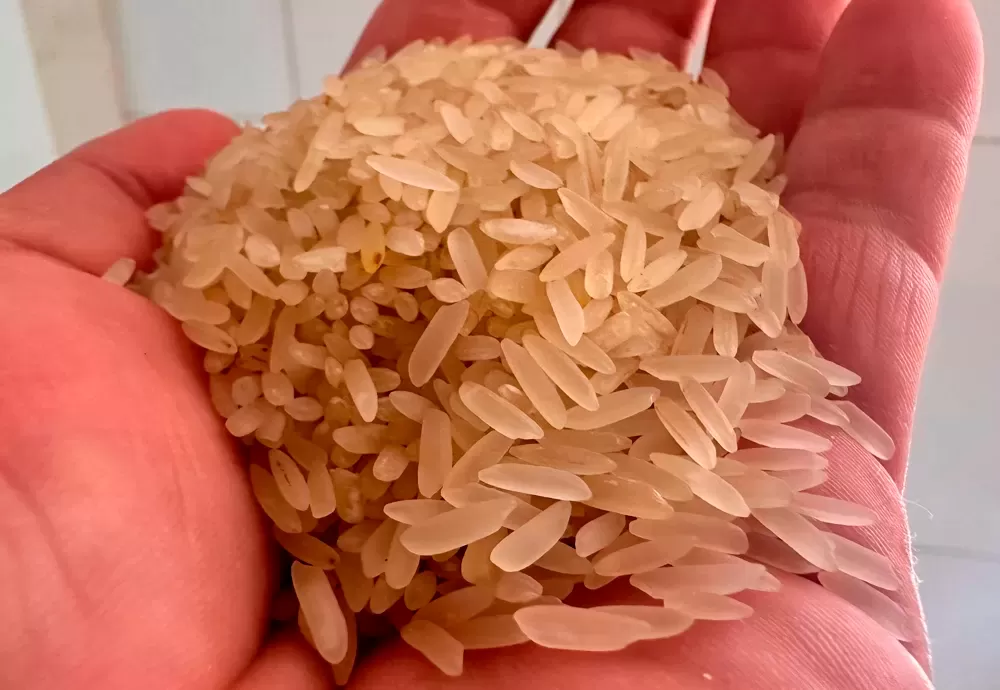 Governo anula leilão e cancela compra de arroz importado