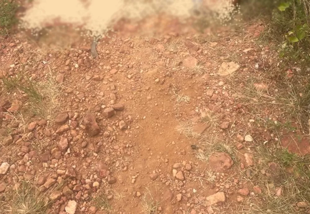 Brumado: Homem é encontrado morto com perfurações em trilha próximo a PPCAT